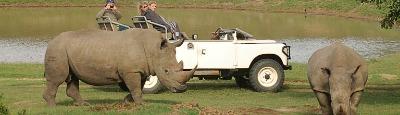 schotia-safaris-big-5-viewing schotia-safaris-big-5-viewing